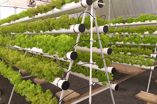 Sustainable & Climate-Smart Agriculture Image